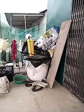 waaini99 online show from April 1, 2026, 11:45 pm