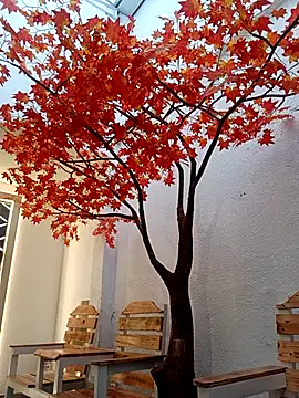 Dante Knox online show from March 22, 2026, 11:23 am