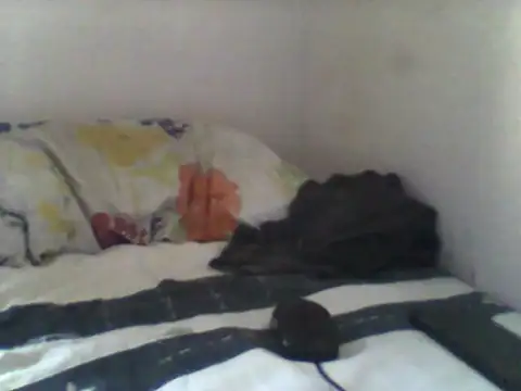 handsomeguy02 online show from April 14, 2026, 2:44 pm