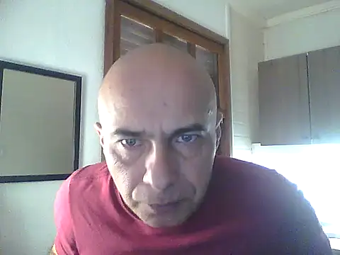 dogfrota online show from May 29, 2026, 6:14 pm