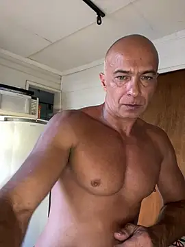 dogfrota online show from February 26, 2026, 8:31 pm