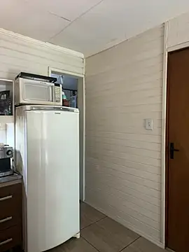 dogfrota online show from March 4, 2026, 2:58 pm