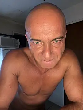 dogfrota online show from March 7, 2026, 3:35 am