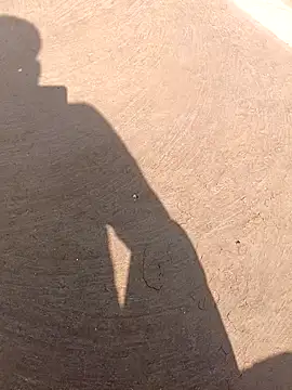 Ravina9696 online show from January 16, 2026, 7:45 am