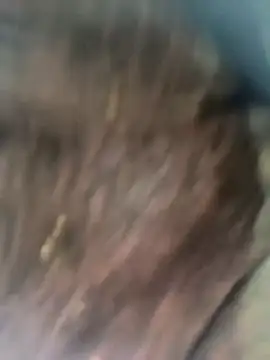 Hot bh64 online show from April 10, 2026, 5:09 pm