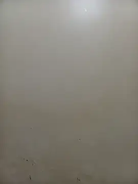 Snapshot of PatriciaVen chatting on February 4, 2026, 5:02 am PatriciaVen online show from February 4, 2026, 5:02 am