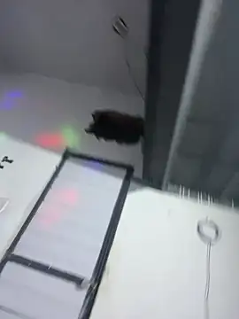 MorenaCariok online show from April 3, 2026, 10:11 am