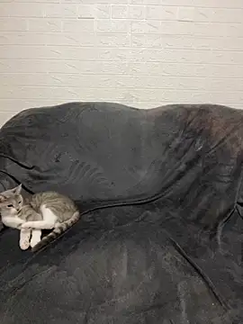 AlisRoxy online show from February 28, 2026, 9:25 pm