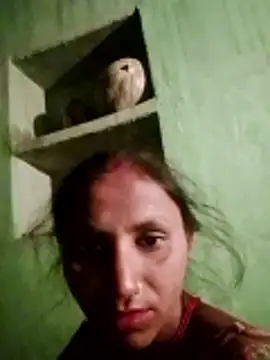 Juli rathore online show from February 21, 2026, 12:34 am