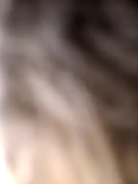 japosamel online show from April 6, 2026, 8:43 pm