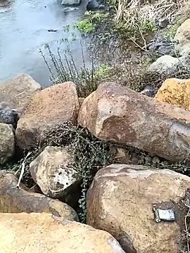 costt2 online show from January 18, 2026, 11:02 am