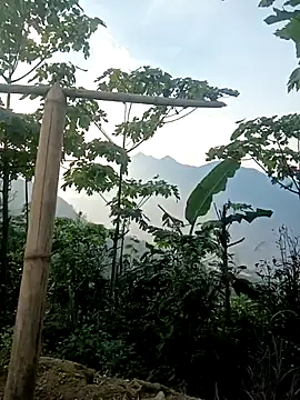 cutebobi online show from March 30, 2026, 9:55 am