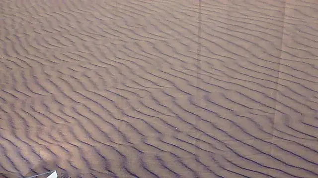 BusyB1983 online show from March 20, 2026, 12:44 am