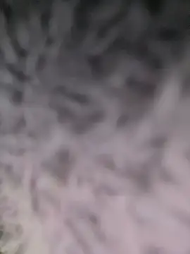 Snapshot of Puka2001 chatting on March 2, 2026, 6:14 am Puka2001 online show from March 2, 2026, 6:14 am