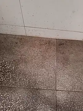 Snapshot of GTX-8194 chatting on February 22, 2026, 6:27 am GTX-8194 online show from February 22, 2026, 6:27 am