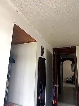 maynor 1998 online show from March 1, 2026, 6:08 pm