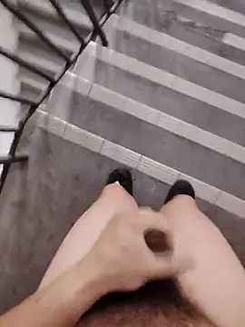 Wvpppp online show from April 28, 2026, 10:08 am