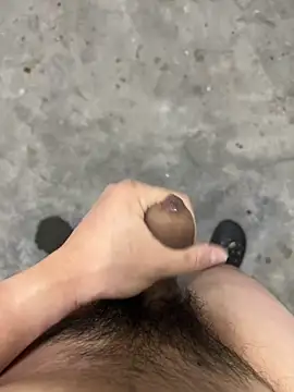 Wvpppp online show from April 16, 2026, 9:54 am