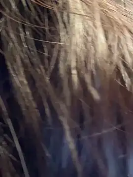 BeiBeiiiii online show from March 27, 2026, 4:21 am