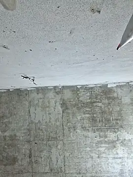 Snapshot of Mey_mey2k3 chatting on March 2, 2026, 2:23 am Mey mey2k3 online show from March 2, 2026, 2:23 am