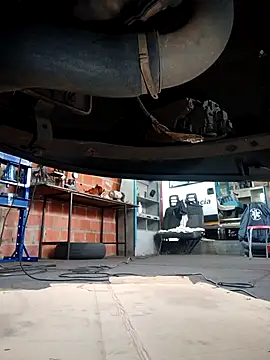 lu123456ch online show from February 3, 2026, 9:47 am