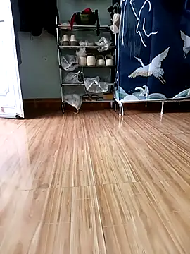 Tulip ii online show from February 23, 2026, 4:25 am