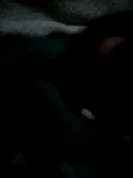 Ben10xblack online show from May 11, 2026, 1:29 am