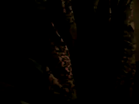 flakita38 online show from June 15, 2026, 11:48 pm