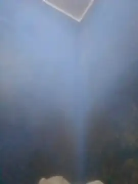 S7LEALTADPERVLIMA7 online show from April 12, 2026, 6:00 pm