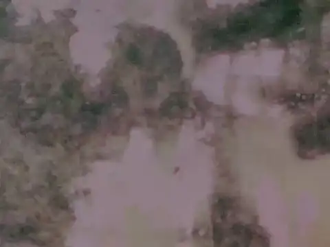 Snapshot of worldClassSelfsuckerxxxxx chatting on March 4, 2026, 7:10 pm worldClassSelfsuckerxxxxx online show from March 4, 2026, 7:10 pm