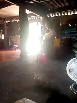 cana4455 online show from March 24, 2026, 5:40 am