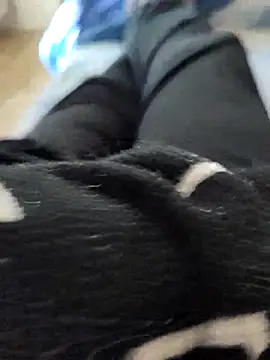 pericolo90 online show from April 7, 2026, 9:11 am