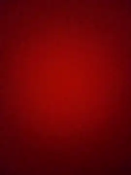 Pelloz online show from February 4, 2026, 9:37 am