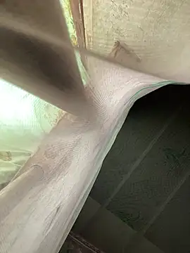 Kimochi baby online show from March 22, 2026, 6:04 am