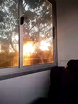 Snapshot of Damian-787 chatting on February 4, 2026, 9:26 am Damian-787 online show from February 4, 2026, 9:26 am