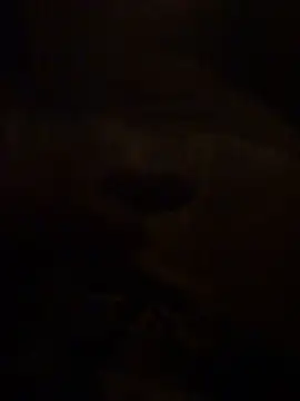 Snapshot of Tommyzzzzzz chatting on October 3, 2025, 7:48 pm Tommyzzzzzz online show from October 3, 2025, 7:48 pm