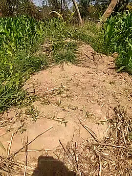 Snapshot of imasanju chatting on February 10, 2026, 6:23 am imasanju online show from February 10, 2026, 6:23 am