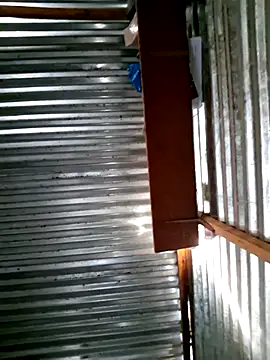 Snapshot of DocCock021 chatting on February 7, 2026, 5:04 am DocCock021 online show from February 7, 2026, 5:04 am