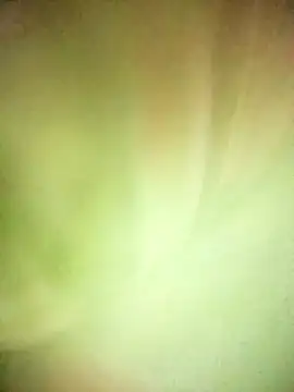 Snapshot of BIG_QWEEN_NO1 chatting on February 20, 2026, 6:37 am BIG QWEEN NO1 online show from February 20, 2026, 6:37 am