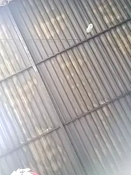 Linka998 online show from March 25, 2026, 4:45 am