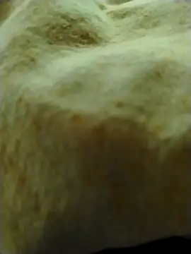 ManuelCLM online show from February 10, 2026, 1:54 pm