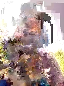 Pallavi hote online show from February 22, 2026, 6:05 am