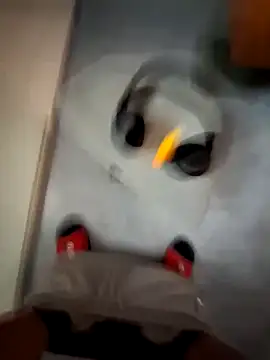 cetriolino online show from March 12, 2026, 6:17 am