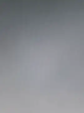 cetriolino online show from March 8, 2026, 8:28 am