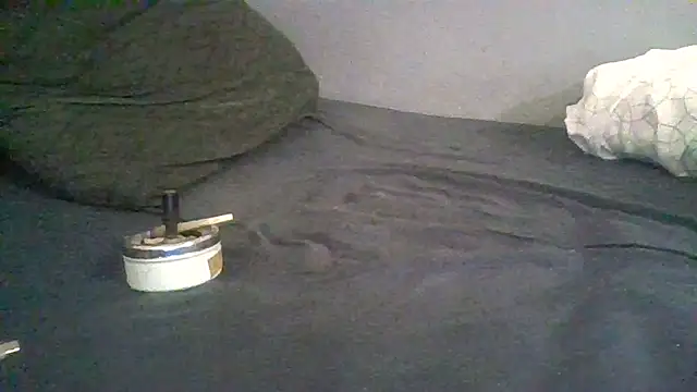 Snapshot of BonneQueueBonjour chatting on February 22, 2026, 11:45 am BonneQueueBonjour online show from February 22, 2026, 11:45 am