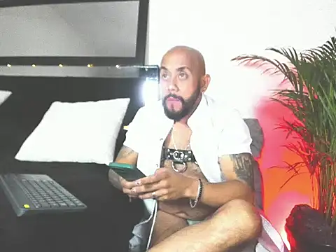 King bear 25 online show from February 26, 2026, 1:49 am