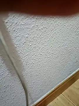 PaRdEDo2 online show from February 15, 2026, 12:22 am