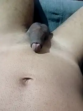 an0203 online show from April 18, 2026, 2:47 am