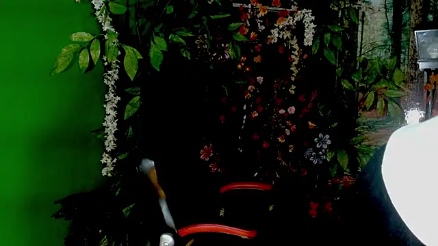 Snapshot of Darkiin_FTM chatting on February 28, 2026, 3:50 am Darkiin FTM online show from February 28, 2026, 3:50 am