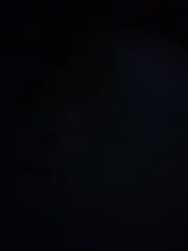 King cotize online show from February 24, 2026, 5:41 am